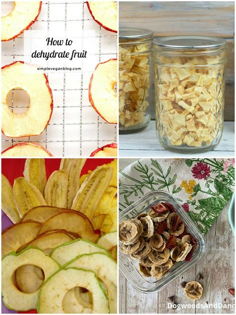 15 Dehydrated Fruit Recipes to Tantalize Your Taste Buds!