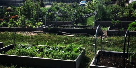 Niagara Falls Community Gardens – Niagara Community Garden Network