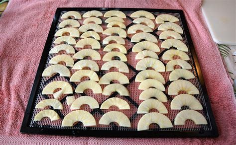 How To Dehydrate Apple Slices With A Dehydrator