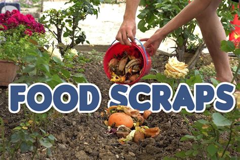 How can I enrich my garden soil naturally using kitchen scraps and leaves?