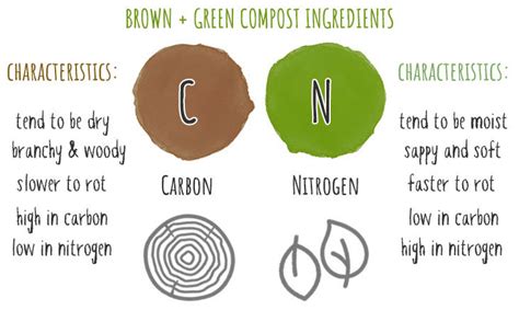 Compost Starters (This is what you Need to Know!)