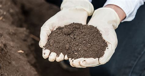 Soil Amendments - How To Use Them For A Healthier Lawn