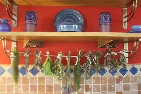 How To Air Dry Herbs At Home | The Daily Struggle
