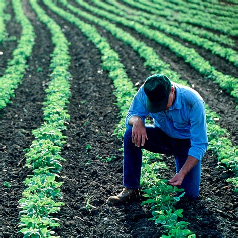 Paying US farmers to invest in sustainable farming methods | McKinsey