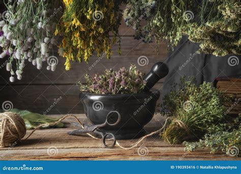 Hanging Bunches of Medicinal Herbs, Black Mortar with Dried Plants ...