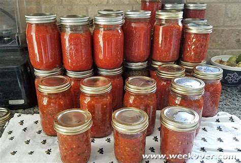 Easy Instant Pot Pasta Sauce + Canning Instructions - Homesteading Hive