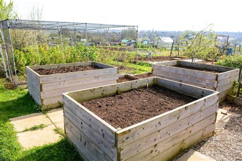 Gardener’s Guide To Raised Bed Soil | Kellogg Garden Organics™