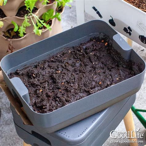How to Start a Worm Composting Bin