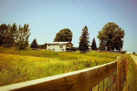 The Great Homestead Debate — Grow Well Consulting