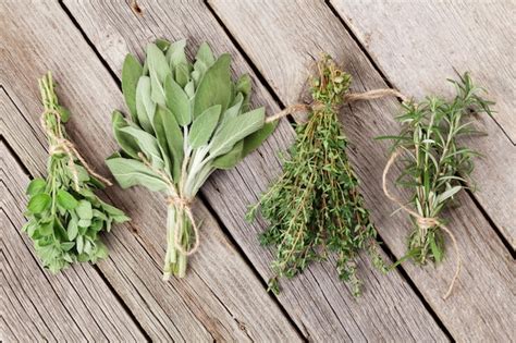 Premium Photo | Fresh garden herbs