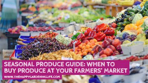 Seasonal Produce Guide: When to Buy Produce at Your Farmers’ Market ...
