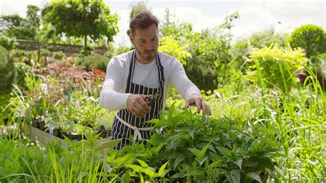 Download Gardener Trimming Plants Garden Wallpaper | Wallpapers.com