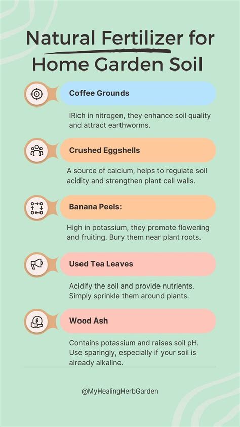 Natural Fertilizers for Home Garden Soil Infographic