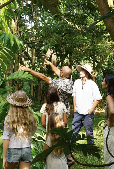 An immersive farm experience on Kauai: Travel Weekly