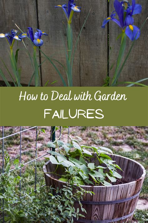 How to Deal With Garden Fails - A Quaint Life gardening