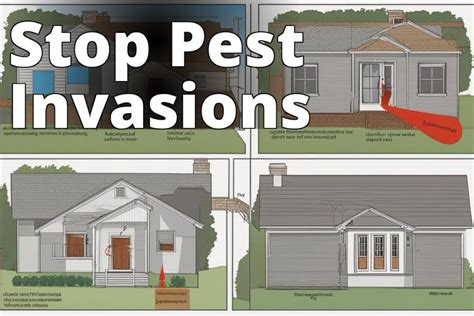 Sealing Entry Points: Your Ultimate Weapon Against Rodent and Pest ...