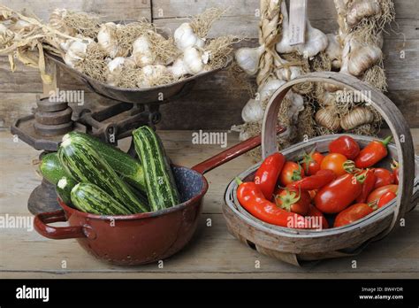 Freshly harvested garden produce Stock Photo - Alamy