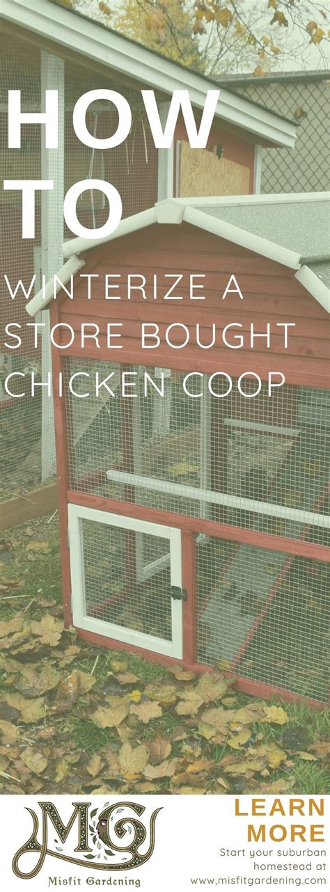 How to Insulate a Prefab Chicken Coop For Under $10 - Misfit Gardening ...
