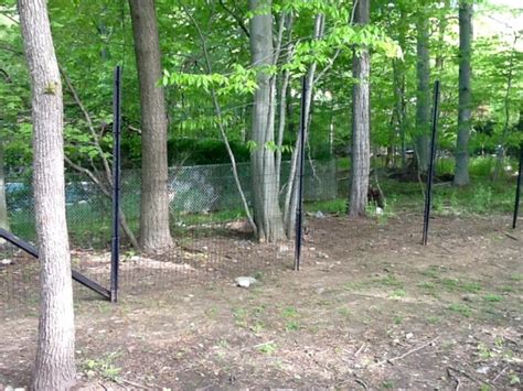 6 ft. to 8 ft. Tall Deer Fence - Hickory Hollow Nursery and Garden Center