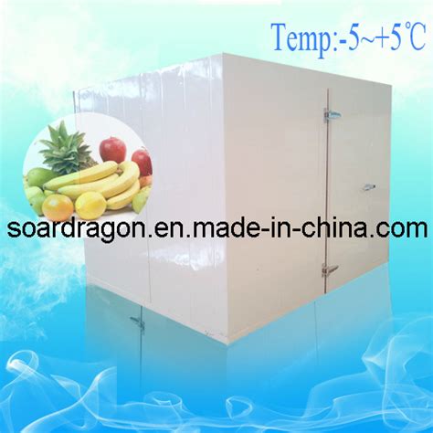 Cool Room for Fruits and Vegetables Storage (40m3) (WGL-DCFR40) - Cool ...