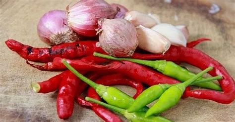 Make an All Natural Pest Spray - SHTFPreparedness