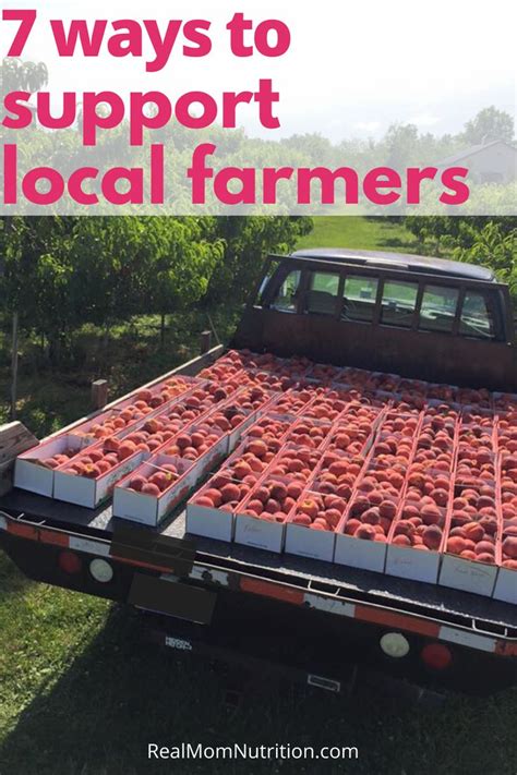 7 Ways To Support Local Farmers Right Now