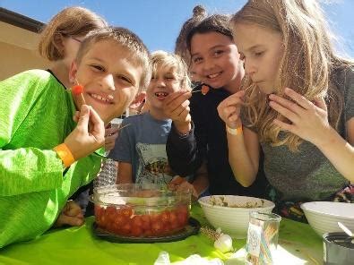 How to involve kids in garden-to-table meal prep?