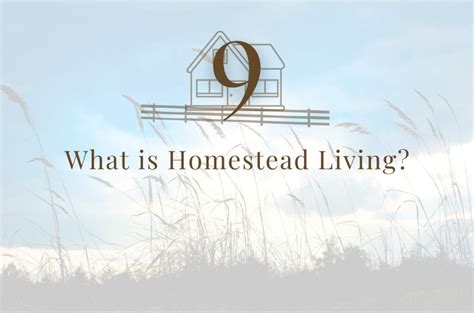 Start Your Homesteading Journey Here - Our Frugal Florida Homestead