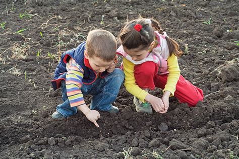 Kids Planting Seeds Stock Photos, Pictures & Royalty-Free Images - iStock