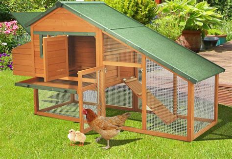 Chicken Coop