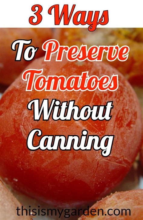 3 Ways To Preserve Tomatoes Without Canning #tomato #preserving # ...