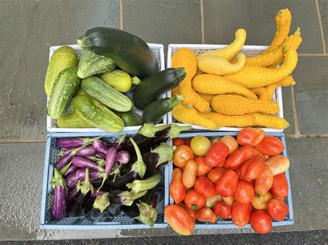 Late Summer Cooking: Fresh From the Garden - TCM World