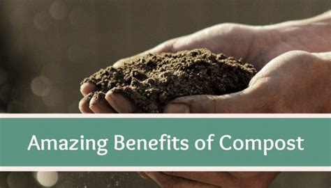 8 Amazing Benefits of Compost - High Country Farmhouse