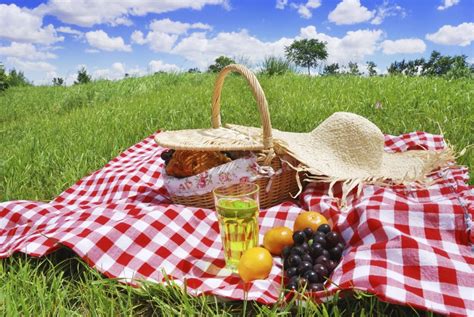 The Perfect Summer Picnic | SignatureMD