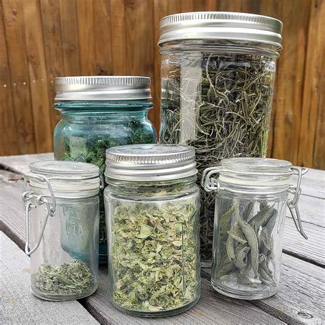 5 Best Tips for Storing Dried Herbs - The Purposeful Pantry