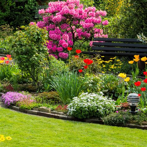 How to Keep Your Garden Healthy and Pest Free - Verve Magazine