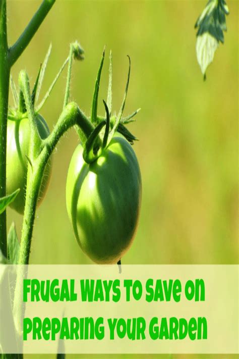 Frugal Ways to Save on Preparing Your Garden