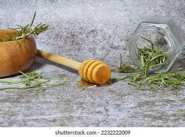 9,735 Woody And Herbs Images, Stock Photos &amp; Vectors | Shutterstock