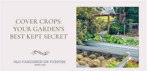 26. Cover Crops: Your Garden's Best Kept Secret • The Prairie Homestead