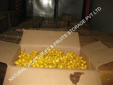 Roots Vegetables Cold Storage at Best Price in Rajkot | Natural Storage ...