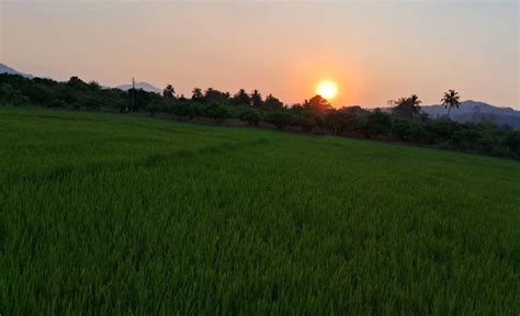 Village Photography Unveiling the Beauty of Rural Life- RVRSP