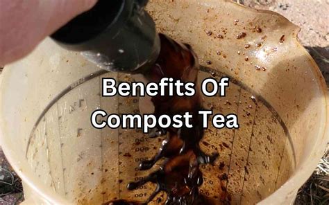 Top Benefits of Compost Tea Gardening - Simplify Gardening