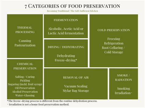 Food Preservation Methods - A Guide to Getting Started at Home ...