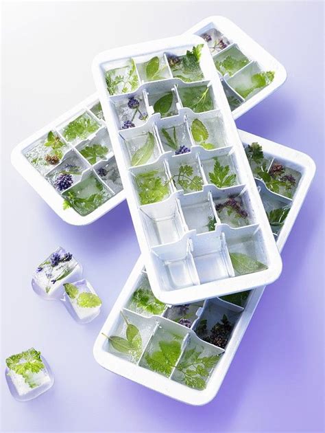 Frozen Herbs in Ice Cube Trays recipe | Eat Smarter USA