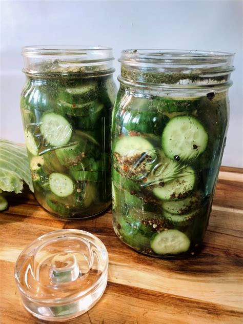 Fermented Dill Pickles for Beginners - Texas Roots Homestead