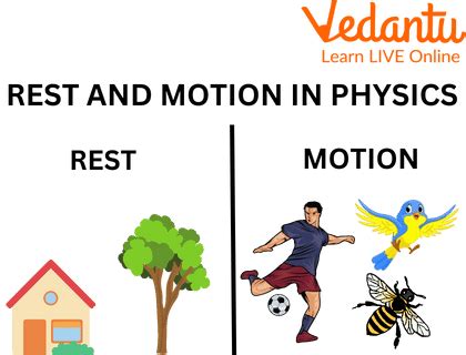 Facts About Motion - Types, Facts, Practice Questions and FAQs