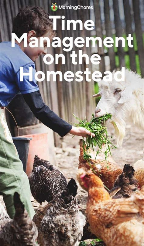 Time Management on the Homestead: Tips to Prioritize Your Chores