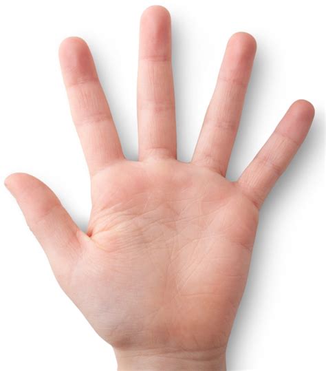 - Advanced Source Code . Com - Hand Geometry Recognition System