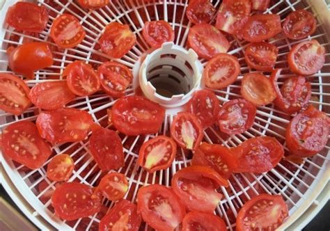Easy Sun Dried Tomatoes In A Dehydrator
