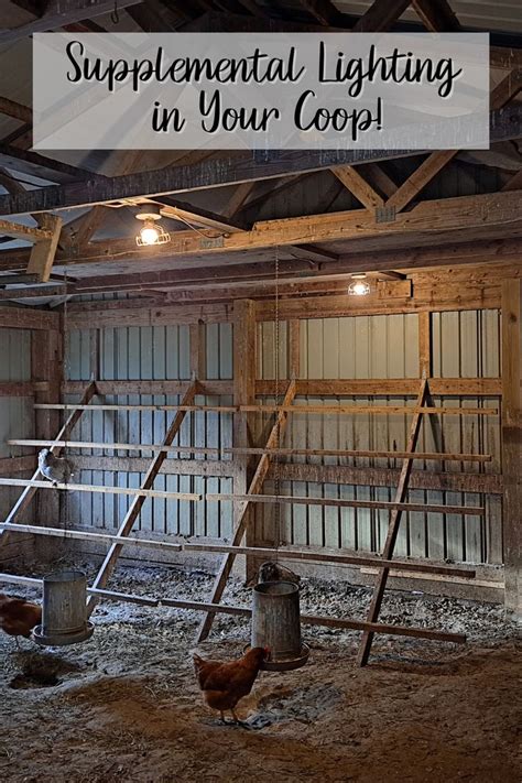 Supplemental Lighting for Coops